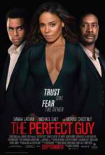 Watch The Perfect Guy Myflixer