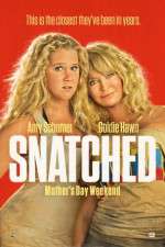 Watch Snatched Myflixer