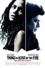 Watch Things We Lost in the Fire Myflixer
