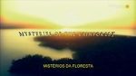 Watch Mysteries of the Rainforest Myflixer