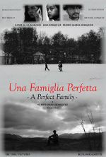 Watch A Perfect Family Myflixer
