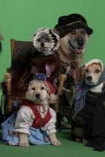 Watch Heidi 4 Paws Myflixer