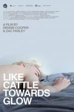 Watch Like Cattle Towards Glow Myflixer