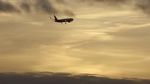 Watch The Man Who Fell from the Sky Myflixer