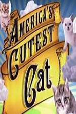 Watch America's Cutest Cat Myflixer