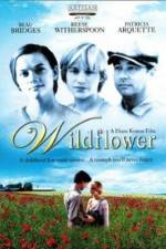 Watch Wildflower Myflixer