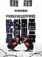 Watch Prison on Fire Myflixer