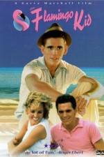 Watch The Flamingo Kid Myflixer