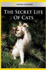 Watch National Geographic The Secret Life of Cats Myflixer