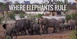 Watch Where Elephants Rule Myflixer