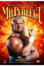 Watch The Life and Times of Mr Perfect Myflixer