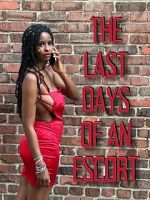 Watch The Last Days of an Escort Myflixer