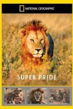 Watch National Geographic: Super Pride Africa\'s Largest Lion Pride Myflixer