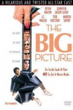 Watch The Big Picture Myflixer