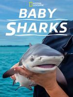 Watch Baby Sharks Myflixer