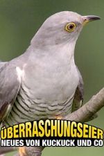 Watch �berraschungseier: Neues von Kuckuck und Co. Myflixer