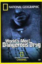 Watch Worlds Most Dangerous Drug Myflixer