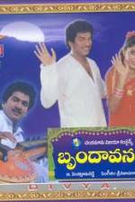 Watch Brundavanam Myflixer