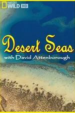 Watch Desert Seas Myflixer