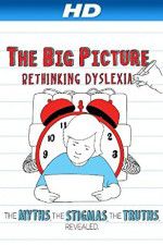 Watch The Big Picture Rethinking Dyslexia Myflixer