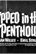 Watch Gypped in the Penthouse Myflixer