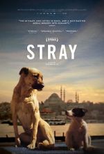 Watch Stray Myflixer