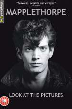 Watch Mapplethorpe: Look at the Pictures Myflixer