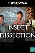 Watch Insect Dissection: How Insects Work Myflixer