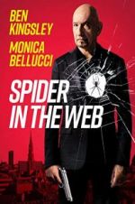 Watch Spider in the Web Myflixer