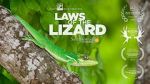 Watch Laws of the Lizard Myflixer