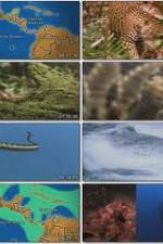 Watch National Geographic:  Worlds Deadliest Animals - North America Myflixer