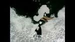 Watch Ain\'t that Ducky (Short 1945) Myflixer