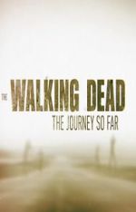 Watch The Walking Dead: The Journey So Far Myflixer