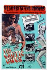 Watch The Exotic Ones Myflixer