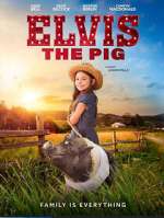 Watch Elvis the Pig Myflixer