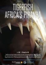 Watch Tigerfish Myflixer