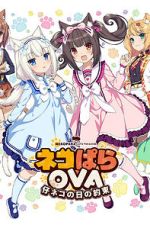 Watch Nekopara OVA Extra Myflixer