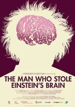 Watch The Man Who Stole Einstein\'s Brain Myflixer
