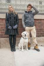 Watch Who Gets the Dog? Myflixer