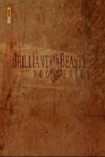 Watch National Geographic Brilliant Beasts Dog Genius Myflixer