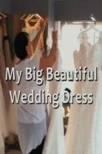 Watch My Big Beautiful Wedding Dress Myflixer