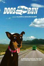 Watch Dogs on the Run Myflixer