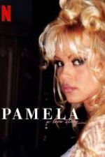 Watch Pamela, a Love Story Myflixer