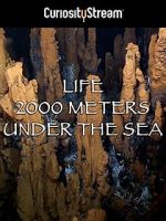 Watch Life 2,000 Meters Under the Sea Myflixer
