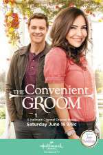 Watch The Convenient Groom Myflixer
