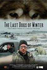 Watch The Last Dogs of Winter Myflixer