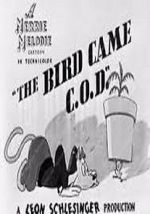 Watch The Bird Came C.O.D. (Short 1942) Myflixer