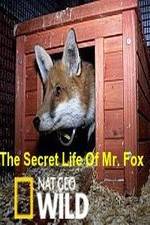 Watch The Secret Life of Mr. Fox Myflixer