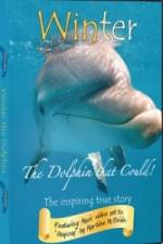 Watch Winter The Dolphin That Could Myflixer