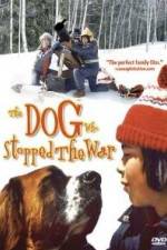 Watch La guerre des tuques Myflixer